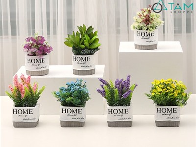 Chậu hoa đẹp để bàn chữ HOME số 72